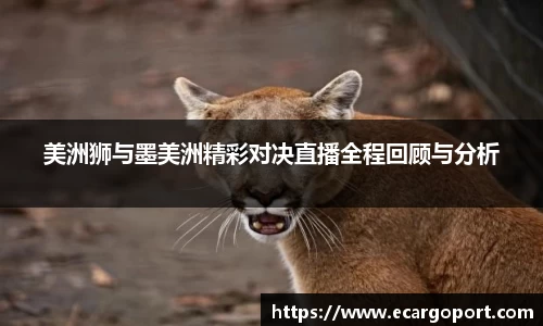 美洲狮与墨美洲精彩对决直播全程回顾与分析